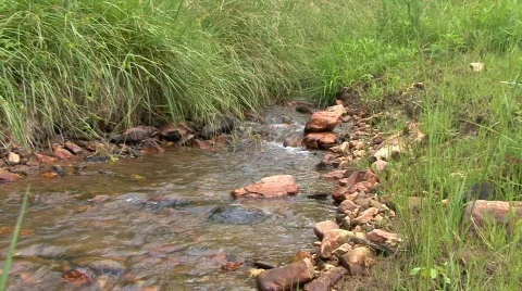 Small stream zoom in Savanha GA 動画素材 108583