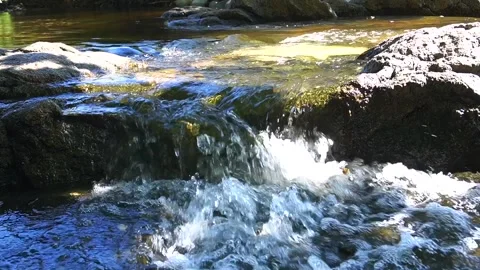  Small streams and wetlands In the spring Video stock 143590355