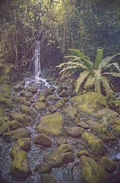 Small streams are in camera high-speed shutter mode. Stock Photos