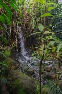 Small streams are in camera high-speed shutter mode. Foto stock