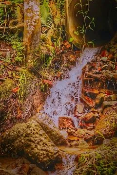 Small streams captured in camera high-speed shutter mode. Stock Photos