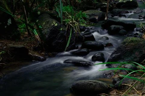 Small streams flow through abundant tropical forests in forest of Thailand,Ph Stock Photos