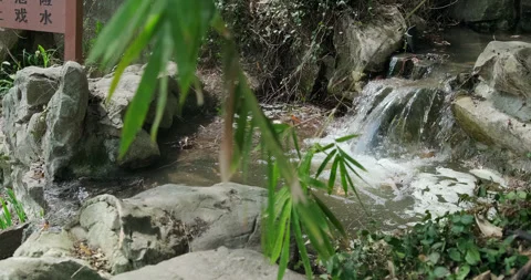 Small streams flowing in the mountains 스톡 동영상 243735982