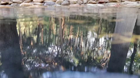Small streams in the mountains, babbling water, a quiet morning. Stock Footage 198154519