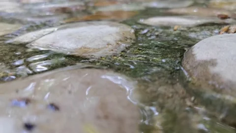 Small streams in the mountains, babbling water, a quiet morning. Stock Footage 198154546