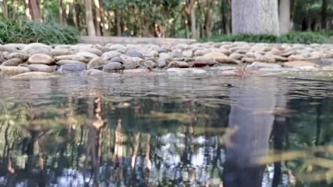 Small streams in the mountains, babbling water, a quiet morning. Stock Footage 198154554