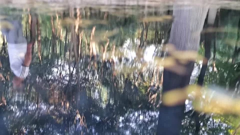 Small streams in the mountains, babbling water, a quiet morning. Stock Footage 198154562