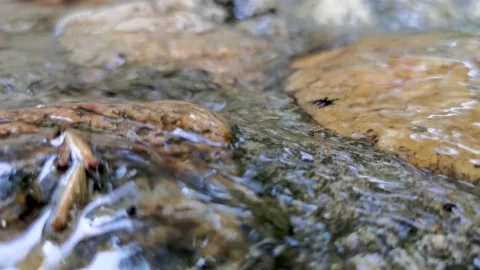 Small streams in the mountains, babbling water, a quiet morning. Stock Footage 198154725