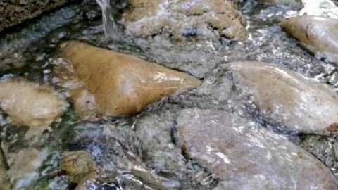 Small streams in the mountains, babbling water, a quiet morning. Stock Footage 198154802