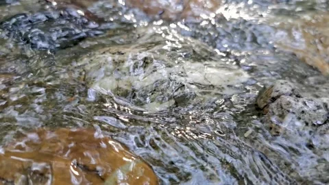 Small streams in the mountains, babbling water, a quiet morning. Stock Footage 198154885