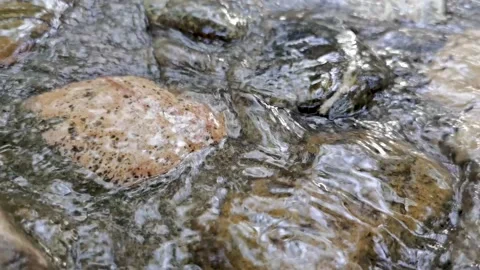 Small streams in the mountains, babbling water, a quiet morning. Stock Footage 198154906