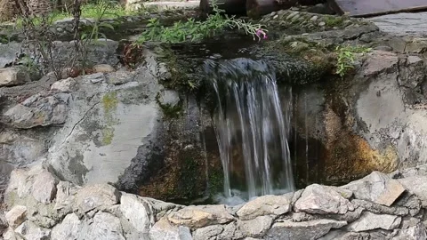 Small streams in the park Stock Footage 141376203