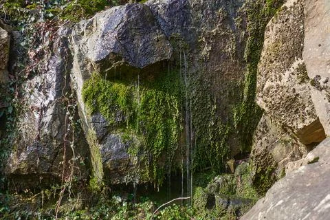Small streams of a waterfall flow down over stones Stock Photos