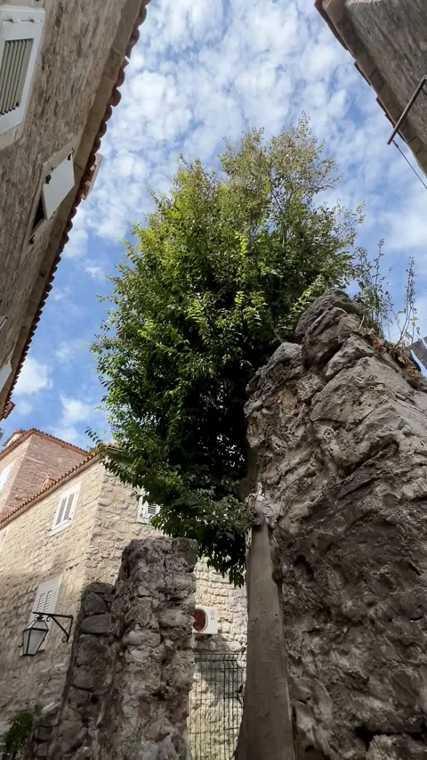 Small streets of the old stone town. Budva, Montenegro Stock Footage 251009351
