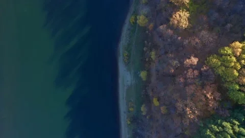 A small strip of light sand separates the forest and river with unusually calm Stock Footage 163195556