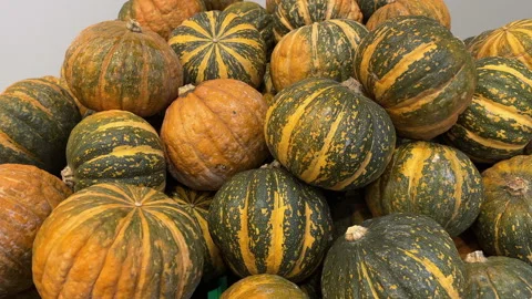 Small striped dark green New Zealand pumpkin buttercup produce Stock Footage 290070695