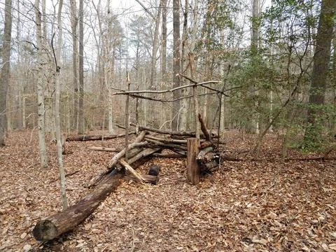 Small structure or fort made out of sticks in the forest Stock Photos