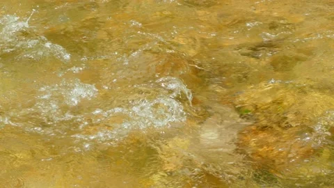A small swirl on the surface of the stream Stock Footage 97221285
