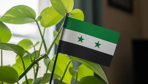 A small Syrian flag is placed in a plant with green leaves near a window with na Stock Photos