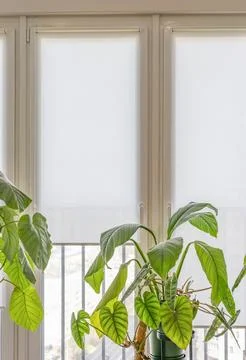 Small system roller blinds Stock Photos