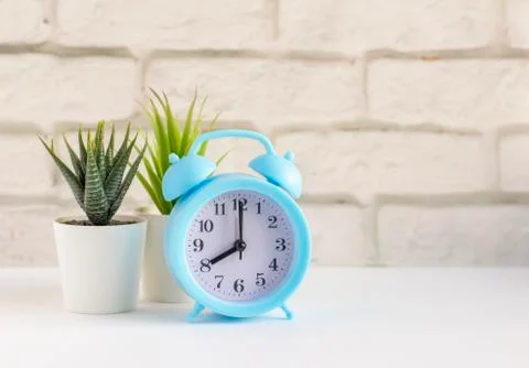 A small table alarm clock and succulents in mini pots on a table or shelf wit Stock Photos