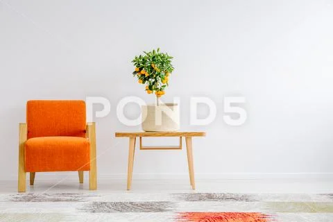 Small tangerine tree in canvas cover Stock Photos