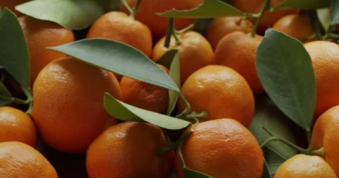 Small tangerines with leaves background. Table spin. Seamless loop. Stock Footage 277606684