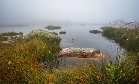 Small Tarn with Rocks in the Mist Stock Photos
