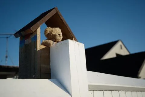 Small teddy bear looking over fence NZ bear hunt Stock Photos