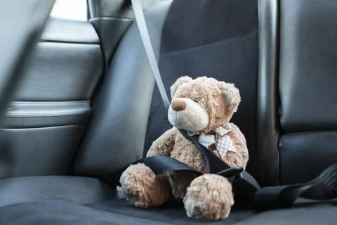 A small teddy bear protected with safety belt in car, vehicle accident security Stock Photos