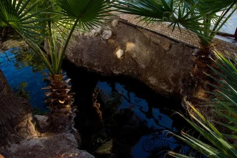 Small termal pool and palms in Pamukkale Stock Photos