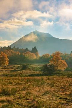 Small thinning - Petite éclaircie Stock Photos