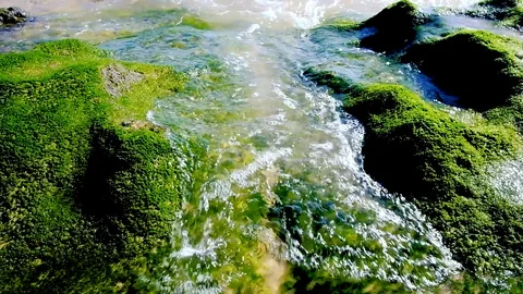 Small tide wave coming to big rock stone with green alga Stock-Footage 99136716