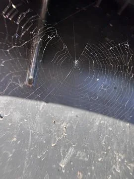 Small tiny cobweb on a dirty black background, dusty Stock Photos