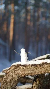 Small tiny snowman with forest background. Winter activites with kids. Stock Photos