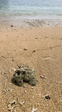 Small tiny waves lapped at the shore. Kondang Merak Beach in Malang Indonesia Stock Photos