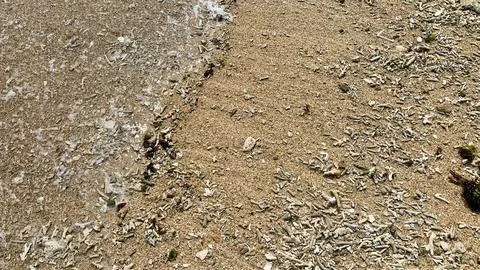 Small tiny waves lapped at the shore. Kondang Merak Beach in Malang Indonesia Stock Photos