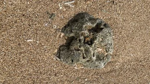 Small tiny waves lapped at the shore. Kondang Merak Beach in Malang Indonesia Stock Photos