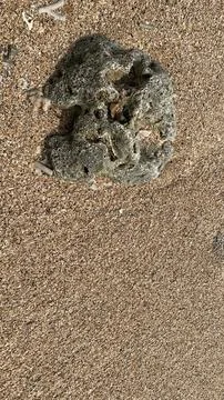 Small tiny waves lapped at the shore. Kondang Merak Beach in Malang Indonesia 스톡 사진