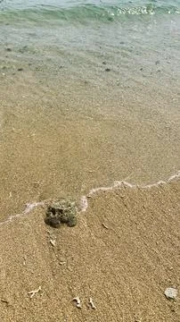 Small tiny waves lapped at the shore. Kondang Merak Beach in Malang Indonesia 스톡 사진
