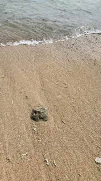 Small tiny waves lapped at the shore. Kondang Merak Beach in Malang Indonesia Stock Photos