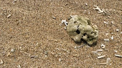 Small tiny waves lapped at the shore. Kondang Merak Beach in Malang Indonesia Stock Photos