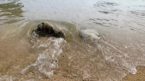 Small tiny waves lapped at the shore. Kondang Merak Beach in Malang Indonesia Stock Photos