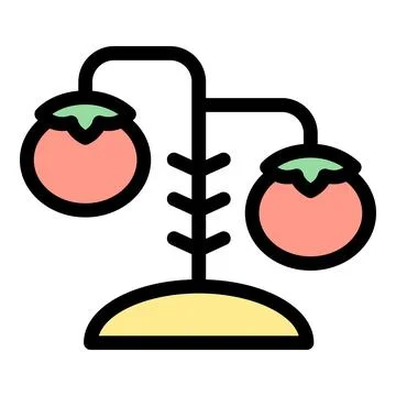 Small tomato plant growing two tomatoes icon Stock Illustration