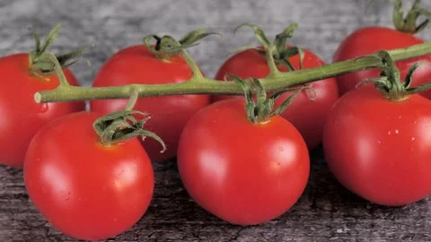 Small tomatoes on a gray background, wiring along Stock Footage 194485215