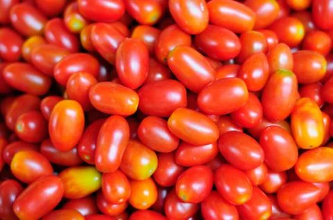 Small Tomatoes Stock Photos