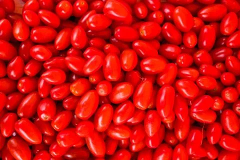 Small tomatoes Foto stock