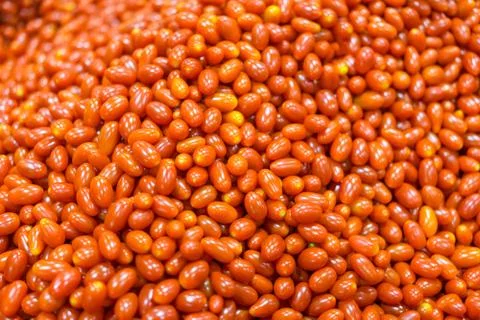 Small tomatoes stack together in a lot of fruit and vegetable shops. Stock Photos