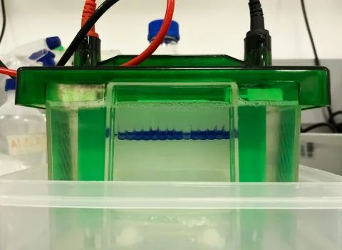 Small tool to make the scientific technique of electrophoresis, in a biochem lab Stock Photos