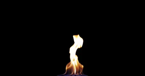 Small torch fire - small camp fire - fire and flames - isolated on black Stock Footage 319532078